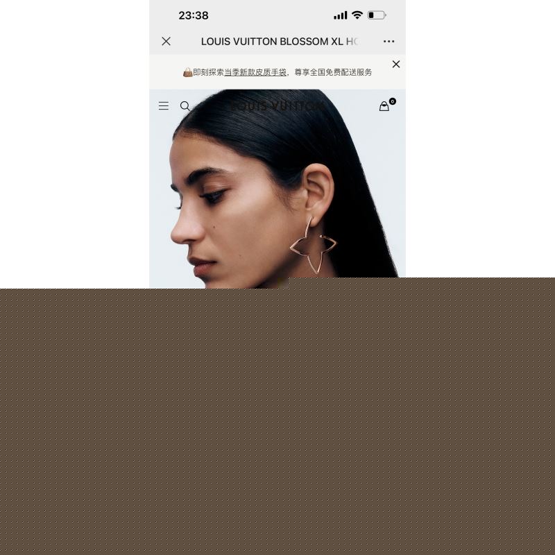 LV Earrings